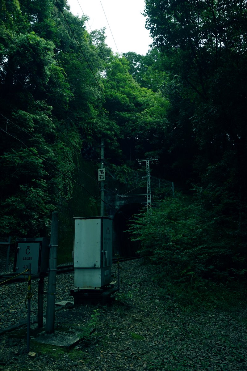 gracile_jp's tweet image. 