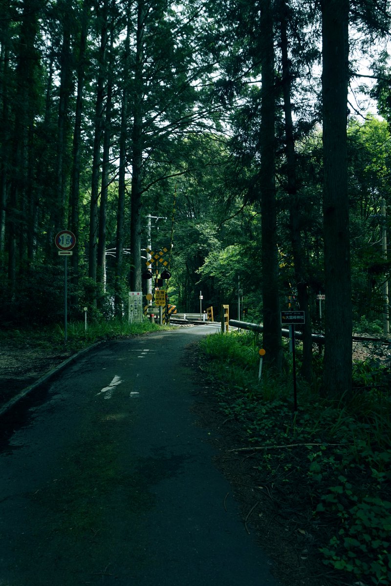 gracile_jp's tweet image. 