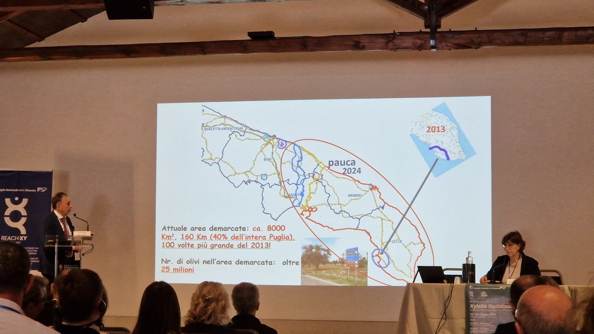 Plants_EFSA's tweet photo. #Xylella fastidiosa scientific workshops in Bari. Various projects to combat a common problem. #olives #pauca #fastidiosa https://t.co/zaQZQBqPJo