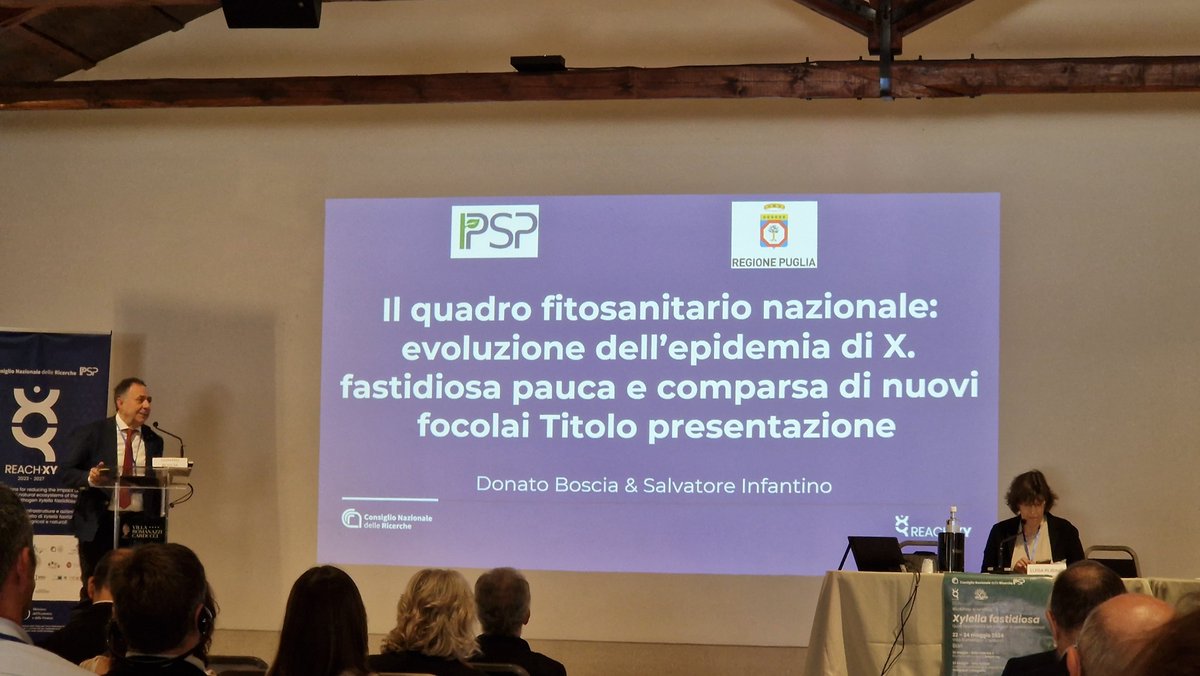 Plants_EFSA's tweet photo. #Xylella fastidiosa scientific workshops in Bari. Various projects to combat a common problem. #olives #pauca #fastidiosa https://t.co/zaQZQBqPJo