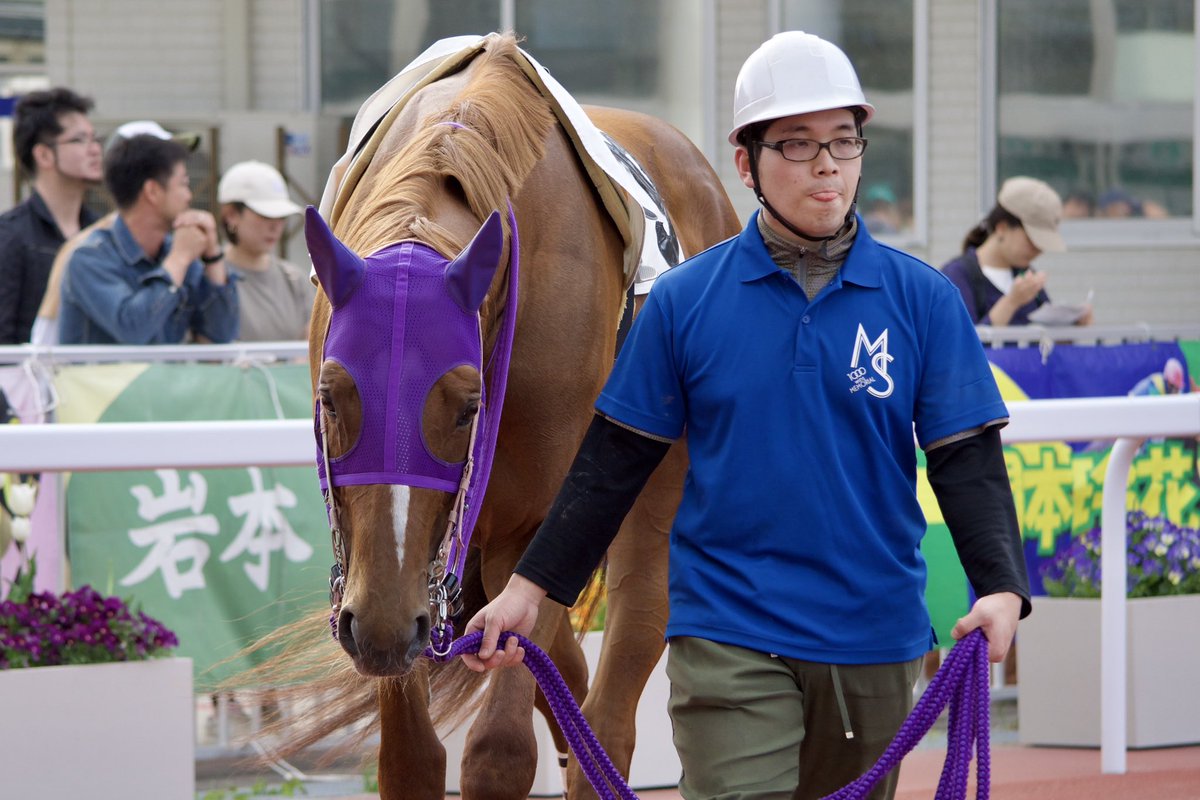 🌠リュウセイグン🌠

#リュウセイグン #水沢競馬 #岩手競馬
（📷:2024年4月29日）