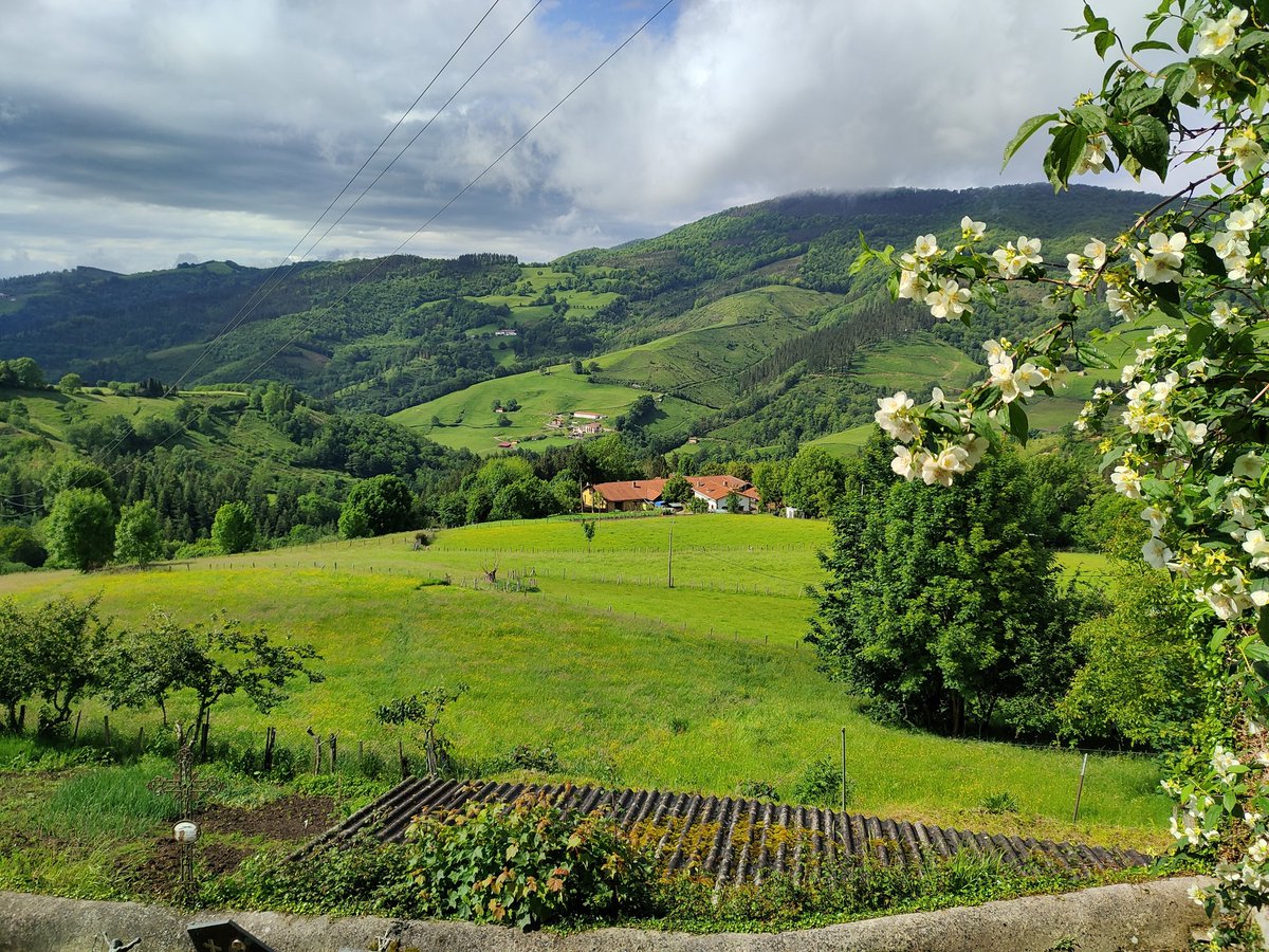 Aye pude conocer los singulares fermentados que <a href="/zidernaut/">ZIDERNAUT - farm craft brewery -</a> elabora en Bedaio, precioso enclave tolosarra a los pies del PN de Aralar. PétNat de lavanda con jengibre, fermentado de manzana con miel y té de hoja de manzano. En rodaje, pero con gran potencial! Milesker Txarli! 🙌