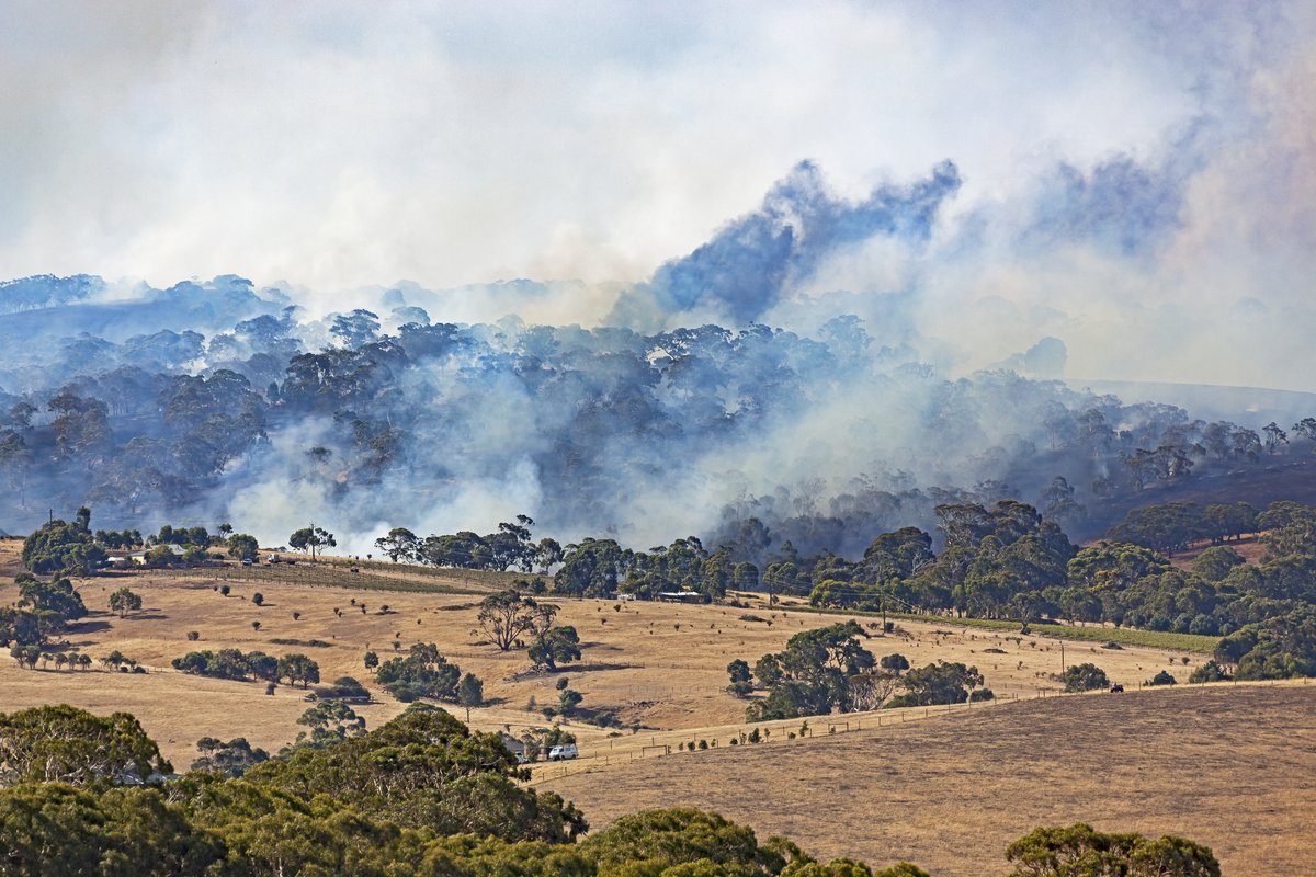 South Australians are invited to share how well they can prepare for disasters including bushfires, storms and more. Supported by @sagovau's SAFECOM, @CFSTalk, @SA_SES, @LGAofSA and @RedCrossAU, all information is valuable and anonymous. Take part here 👉 bit.ly/3WQsTmv