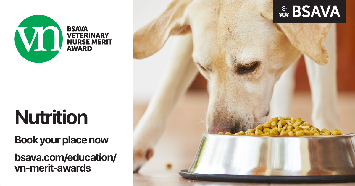 The VNMA in Nutrition opens next week! Are you a veterinary nurse passionate about small animal nutrition? A great opportunity to enhance your skills with 30 hours of CPD with Georgia Woods-Lee. Book your place today: ow.ly/AjKL50RybIF  #VetNurse #vetnursecpd #RVNCPD