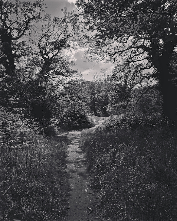 The paths at the common's edge flirt with woods. Entice with promise of a glimpse of lore. For who doesn't wish to see some feral folklore? Meet Wodewose, Moss Maiden or Ruffled Fox? The power of the wood is that it lets us encounter such stories. – #CLNolan #FolkloreThursday