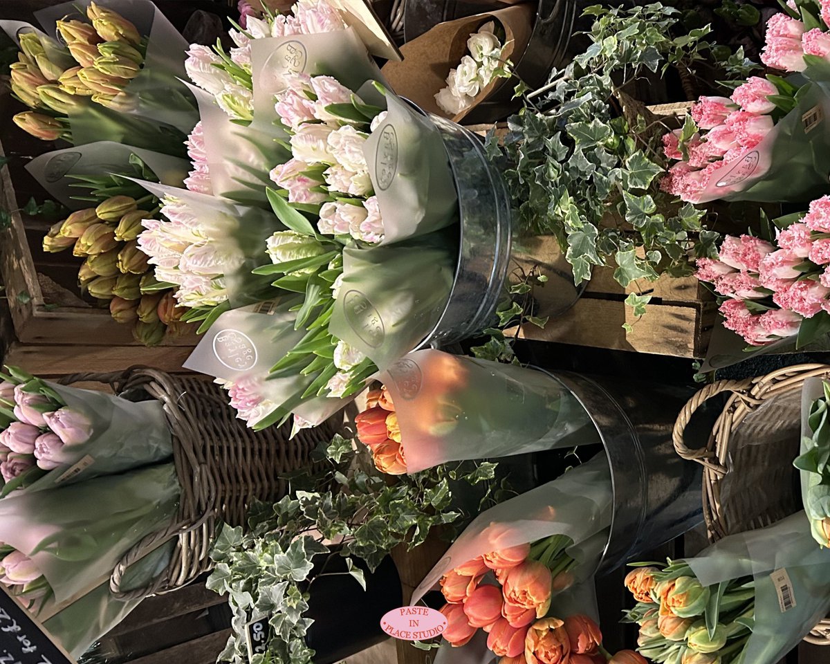 p.i.p.stu tweet media