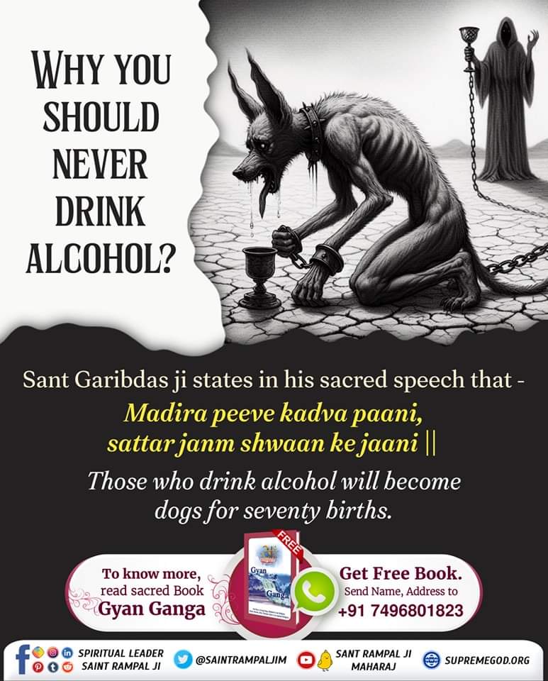 #नशा_एकअभिशापहै_कैसे_मुक्तिहो Madira peeve kadva paani, sattar janm shwaan ke jaani || Those who drink alcohol will become 💫💫💫 dogs for seventy births. Sant Rampal Ji Maharaj @anitada23854181