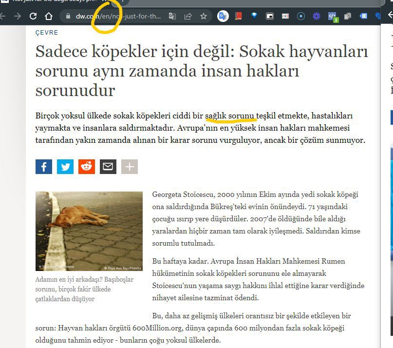 Alman propaganda kanalı DW, Türkçe yayımladığı haberde sokak köpeklerini savunurken İngilizce yayımladığı haberde sokak köpeklerinin zararlı olduğunu belirtiyor.

DWʼnin yapmış olduğu kara propaganda adeta Nazi Almanyasıʼnı hatırlatıyor.