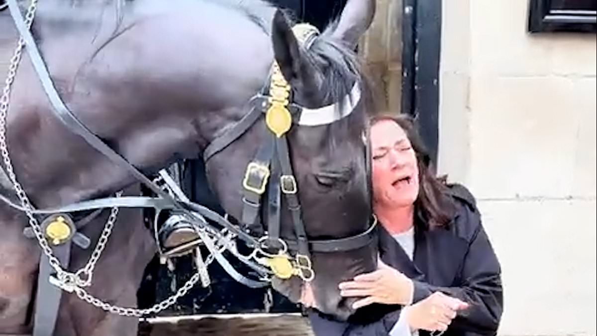 Shocking moment American tourist squeals in pain as King's Guard horse bites her when she gets too close trib.al/0mMzZ2T