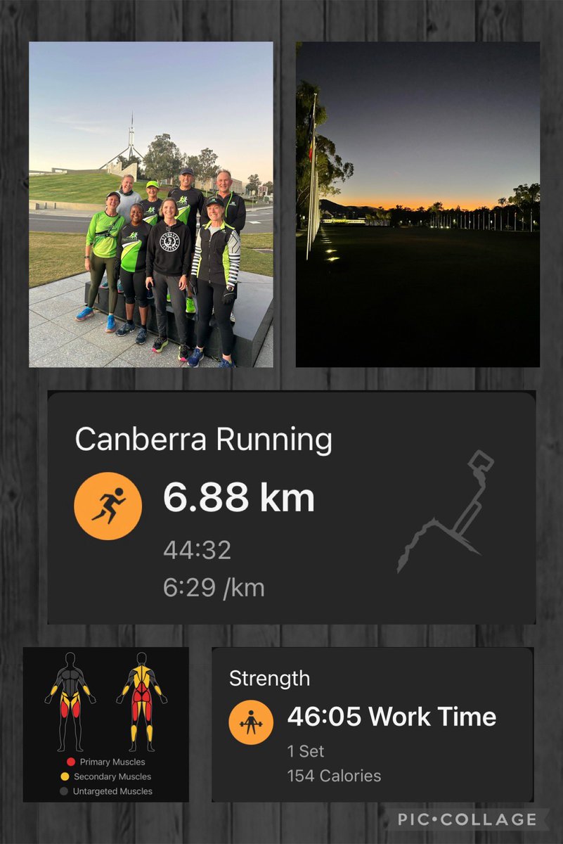 Cathy 🦉 tweet media