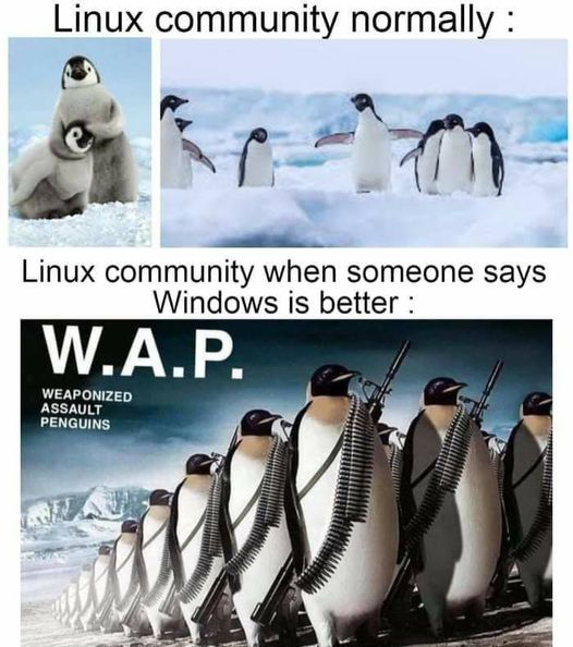 Linux community when someone says Windows is better😆

#linux #deepin #opensource #windows