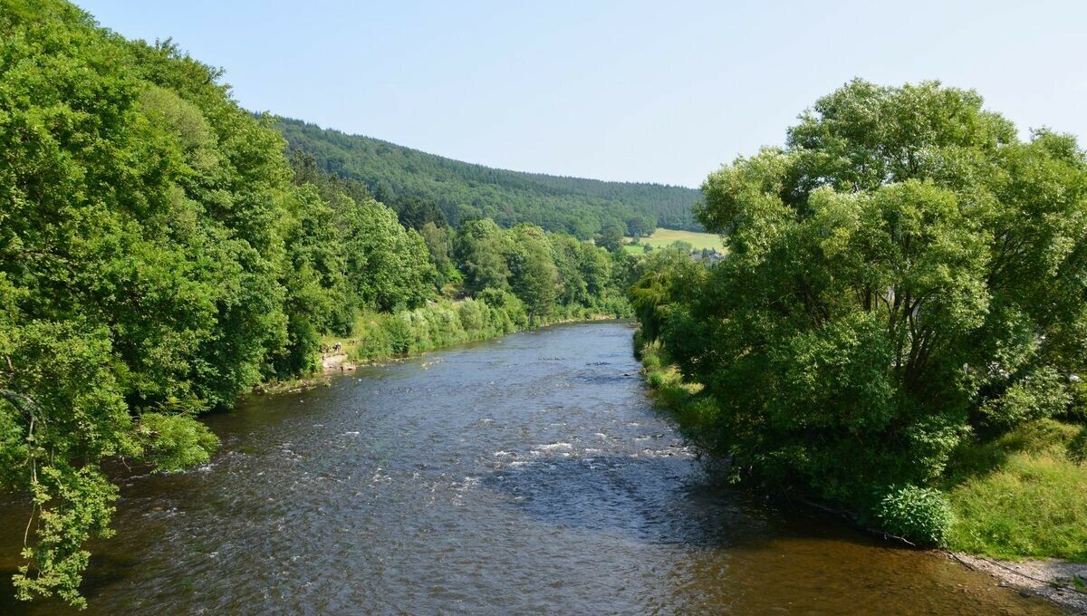 icichampagne's tweet photo. Biodiversité : Des randonnées sur les rives de la Semoy (Ardennes) les 25 & 26 mai 2024 #UneEquipeFormidable
➡️ https://t.co/YhKyMFTUBG https://t.co/imhIW5xLe3