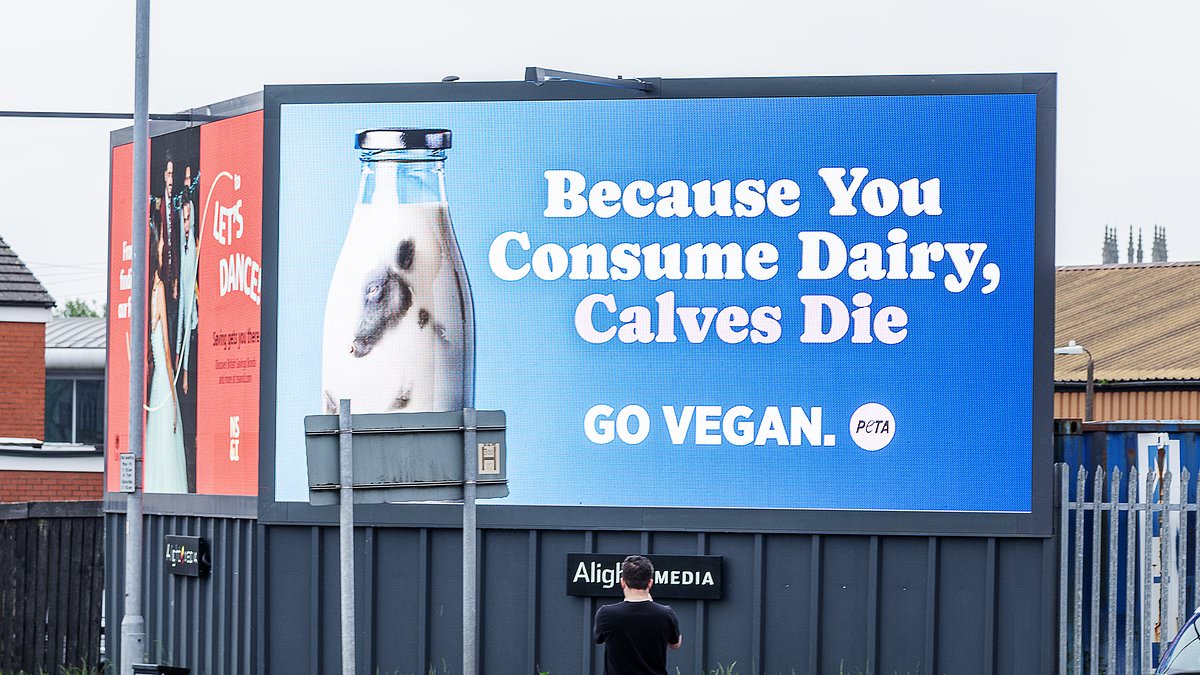 PETA erects pro-vegan billboard outside Bolton station after commuter who asked for oat milk in his coffee was told 'we don't do that sort of thing here' trib.al/AqE1rXp