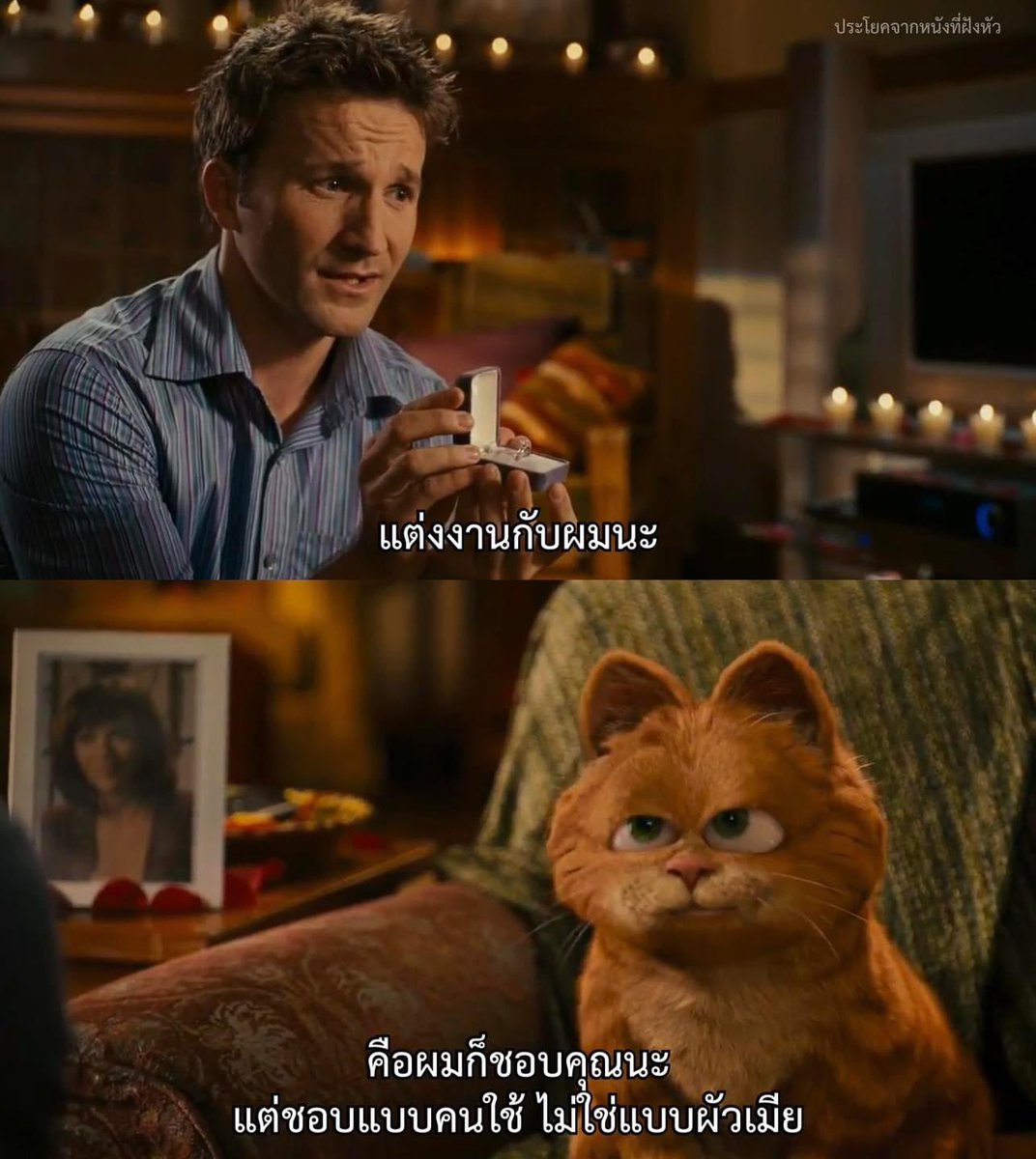 รักต้องห้ามระหว่างชนชั้น - Garfield: A Tail of Two Kitties -
