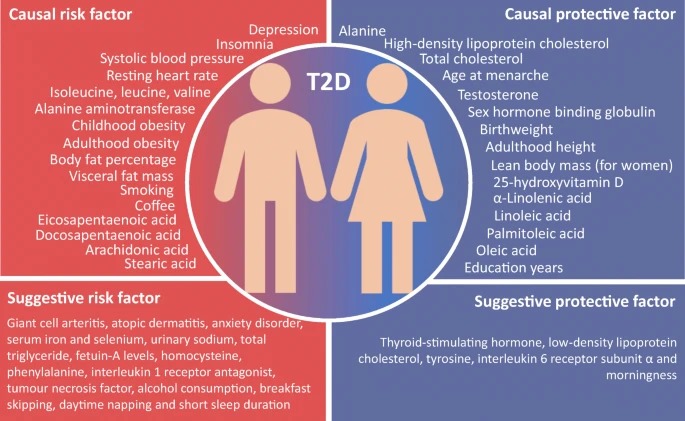 Graphical abstract 
An atlas on risk factors for #type2diabetes
 link.springer.com/article/10.100…