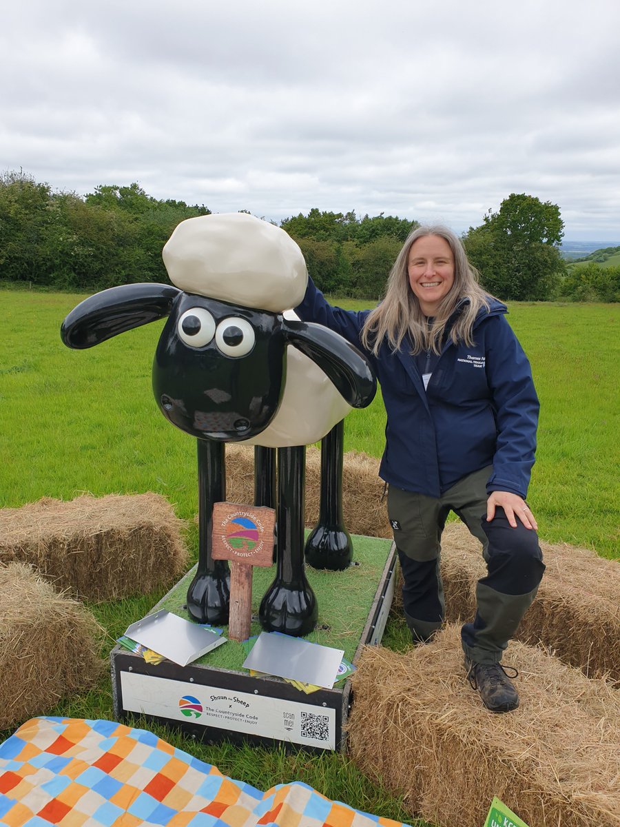 Our community engagement officer Clare meets Shaun this morning celebrating National Nature Reserves week with @NaturalEngland at Aston Rowant @ChilternsNL