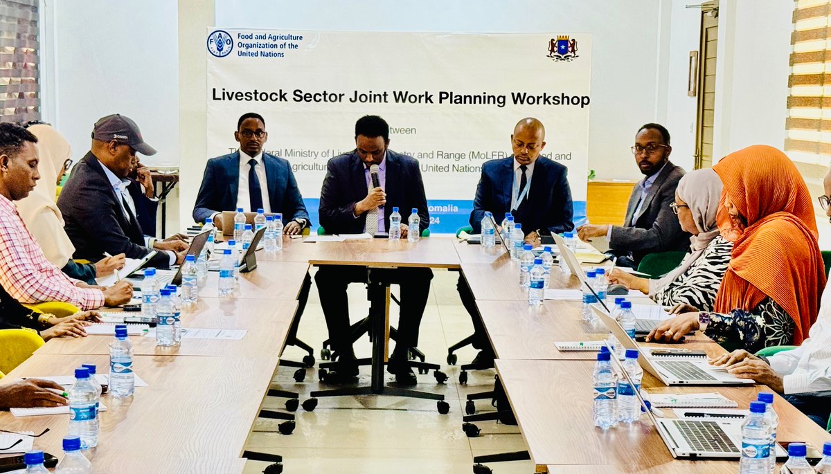 In his opening address, H.E. Dr. Suleiman, State Minister @MoLFR_SO lauded the joint work planning workshop with @FAOSomalia as 'a unique opportunity to align strategic priorities and strengthen collaboration' toward unlocking the #livestock sector's full potential. #Somalia🤝🏿🐪