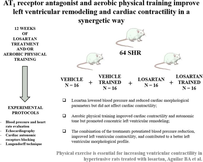 #Hypertens_res 47(5): 1350-61, 2024
Physical exercise is essential for increasing ventricular contractility in hypertensive rats treated with losartan
Aguilar BA et al

doi.org/10.1038/s41440…
@JSHypertension
@SpringerNature
by SME. K