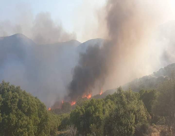 #Πυρκαγιά σε δασική έκταση στην περιοχή  #Μύτικας Λακωνίας.