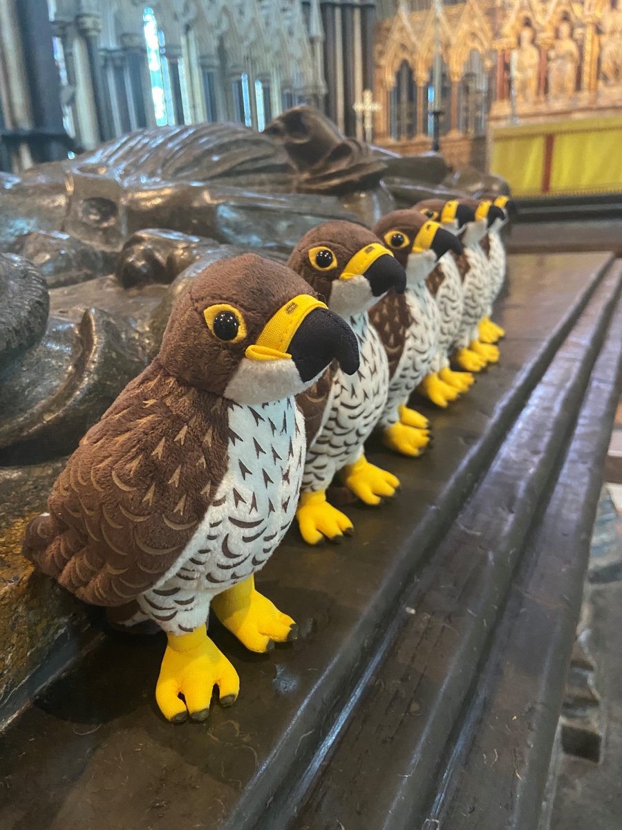 Happy Bank Holiday Monday! We're open 10am-5pm. Climb the Tower*, hop on the Ferry*, check out the Young Voices New Visions exhibition, peregrine chicks livestream & drop-in* & find the fluffy chicks hidden around the Cathedral! *Weather permitting 👉 bit.ly/3R1kDw3