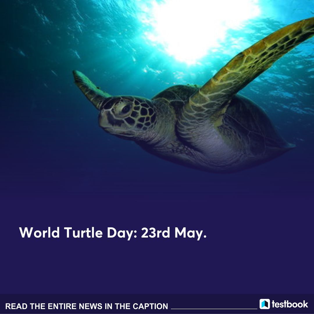 🚨World Turtle Day, initiated by American Tortoise Rescue in 2000, raises awareness on turtle and tortoise conservation. Celebrate by adopting, donating, or volunteering.

[Current affairs, Projects, Turtle, Govt. exam, 2024, Knowledge & facts]