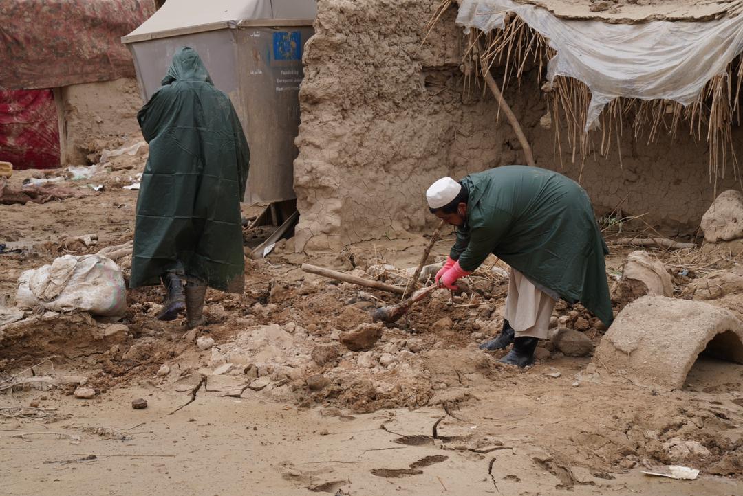 FAO survey teams in Baghlan taking stock of mudslide damage: the wheat was ready to harvest, the farmer cries. A bean field wiped out. Rotting carcasses and collapsed stables...