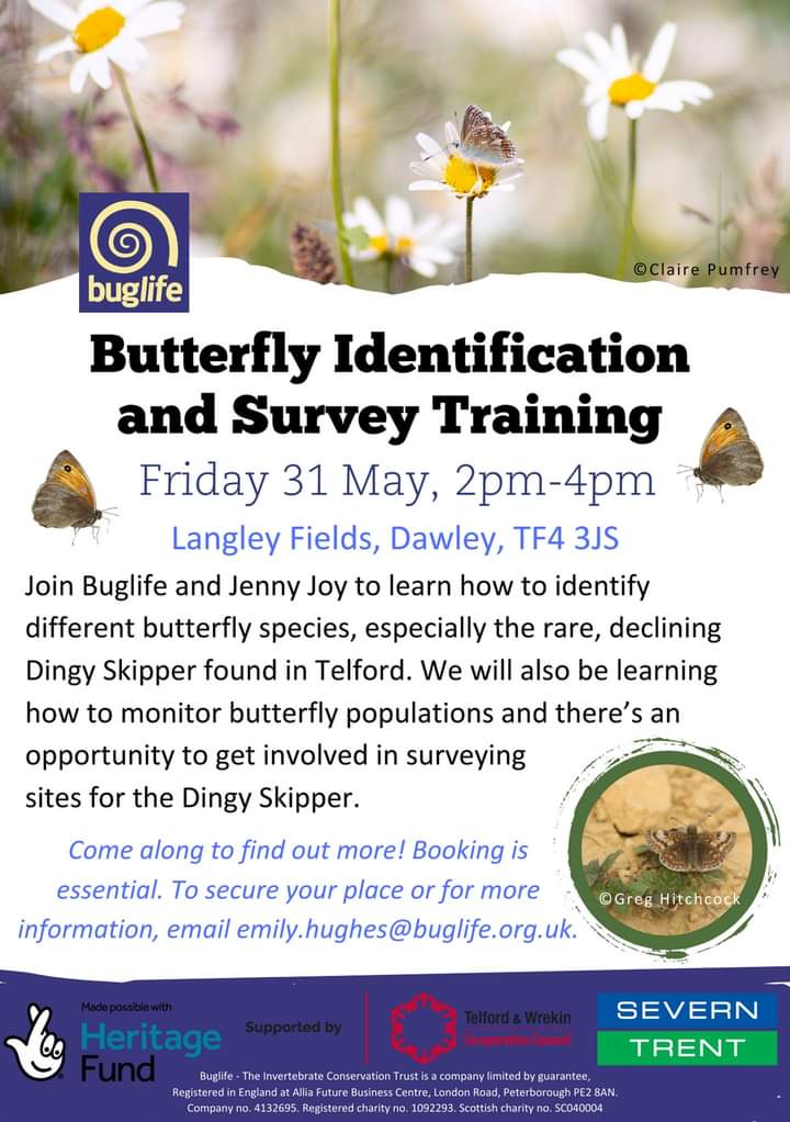 We have a number of sessions over the summer to help people to identify and record butterflies. This one in Telford has been organised along with Buglife.