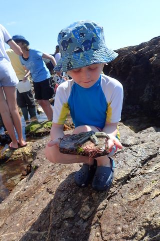 WemburyMarineCentre tweet media