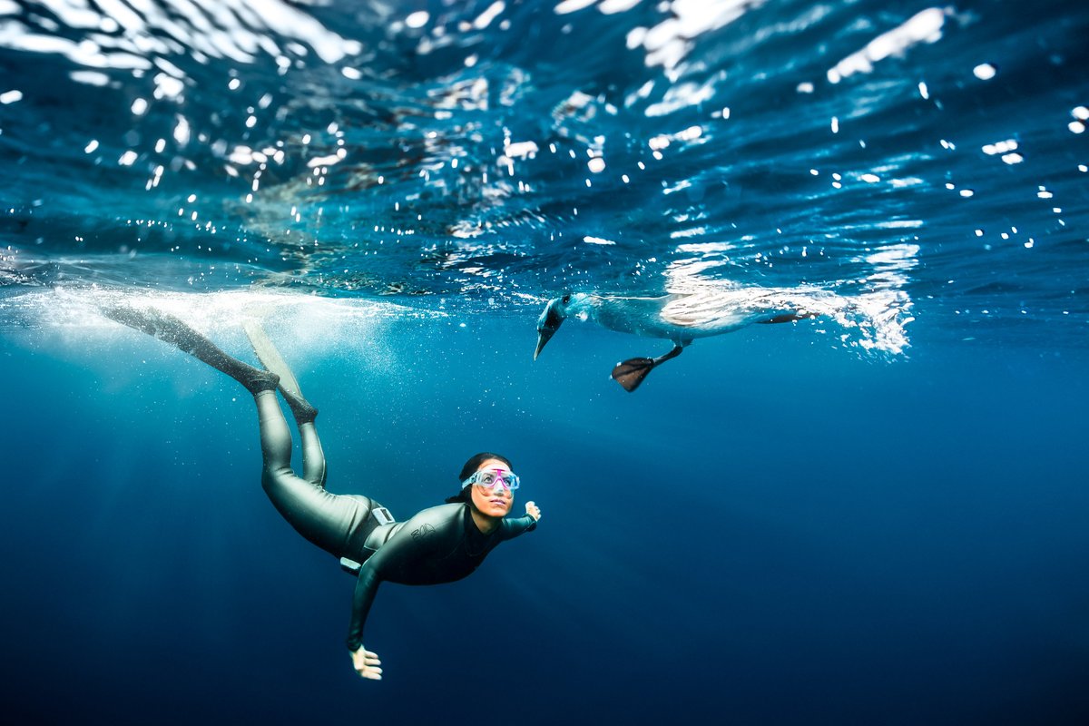 Dive into inspiration with the incredible @hanliprinsloo 💙 📷 🌏 Hanli is a record breaking Freediver, Ocean Conservationist, Founder of @IAMWATER_ocean and a Speaker at Blue Earth Forum (25-26 June) and Summit (16-18 October). Check the full Q&A: blueearthsummit.com/dive-into-insp…