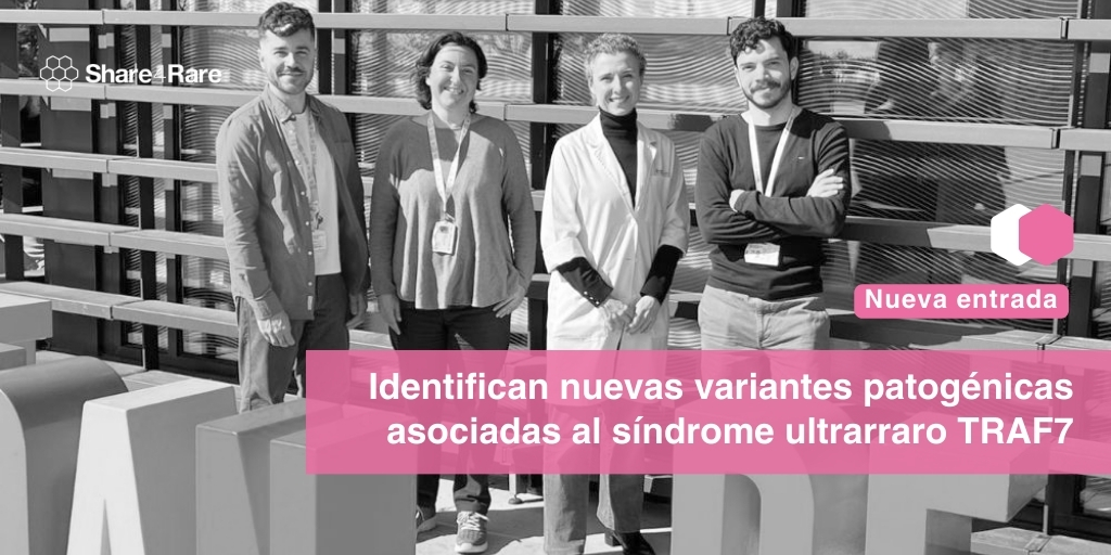 Share4Rare_es (@share4rare_es) on Twitter photo 🔬 Un grupo de profesionales de <a href="/IRSJD_info/">Institut de Recerca Sant Joan de Déu</a> <a href="/BiologiaUB/">Facultat de Biologia UB</a> profundiza en el conocimiento del síndrome de #TRAF7, un trastorno ultra-raro del neurodesarrollo descrito por primera vez hace 4 años 👦
Te explicamos el estudio 👉 share4rare.org/es/news/nuevas…
#enfermedadesraras #EPOF #cafdadd 🔬 Un grupo de profesionales de <a href="/IRSJD_info/">Institut de Recerca Sant Joan de Déu</a> <a href="/BiologiaUB/">Facultat de Biologia UB</a> profundiza en el conocimiento del síndrome de #TRAF7, un trastorno ultra-raro del neurodesarrollo descrito por primera vez hace 4 años 👦
Te explicamos el estudio 👉 share4rare.org/es/news/nuevas…
#enfermedadesraras #EPOF #cafdadd