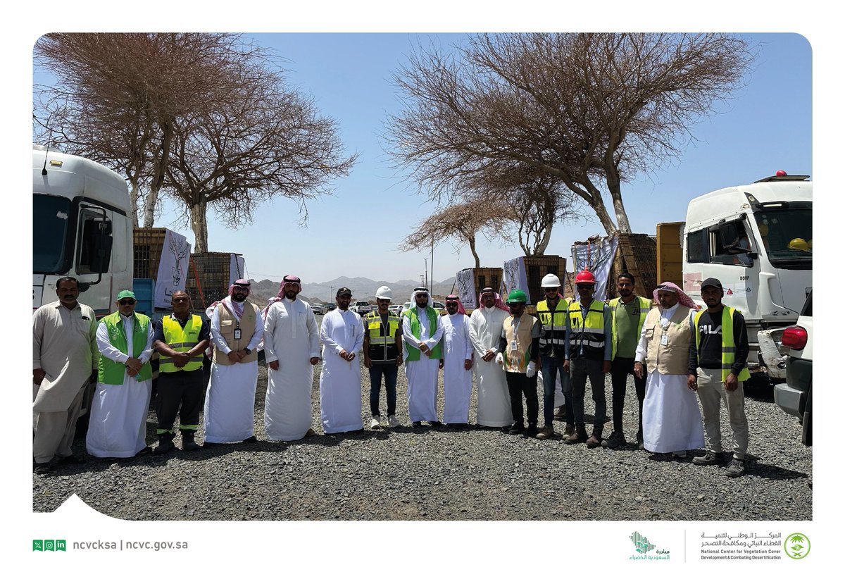 ncvcksa's tweet photo. المركز ينقل 8 أشجار معمرة من حديقة الملك سلمان وقرية الفريش بالمدينة المنورة إلى متنزه البيضاء البري، ضمن أعمال مبادرة نقل الأشجار المعمرة التي تهدف إلى حمايتها والعناية بها، وذلك بالتعاون مع @imarat_almadina و@AmanaAlmadinah و @Mbadrt_ .

#مركز_الغطاء_النباتي
#مبادرة_السعودية_الخضراء