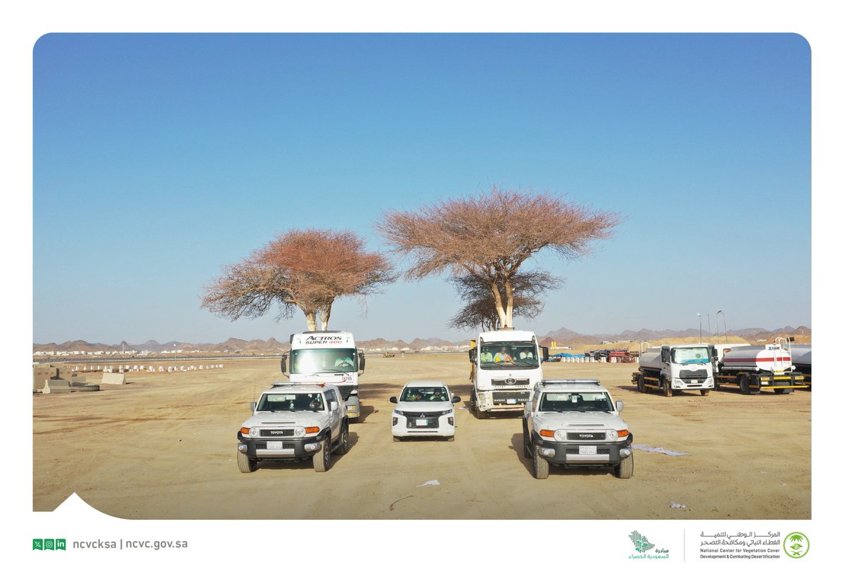 ncvcksa's tweet photo. المركز ينقل 8 أشجار معمرة من حديقة الملك سلمان وقرية الفريش بالمدينة المنورة إلى متنزه البيضاء البري، ضمن أعمال مبادرة نقل الأشجار المعمرة التي تهدف إلى حمايتها والعناية بها، وذلك بالتعاون مع @imarat_almadina و@AmanaAlmadinah و @Mbadrt_ .

#مركز_الغطاء_النباتي
#مبادرة_السعودية_الخضراء