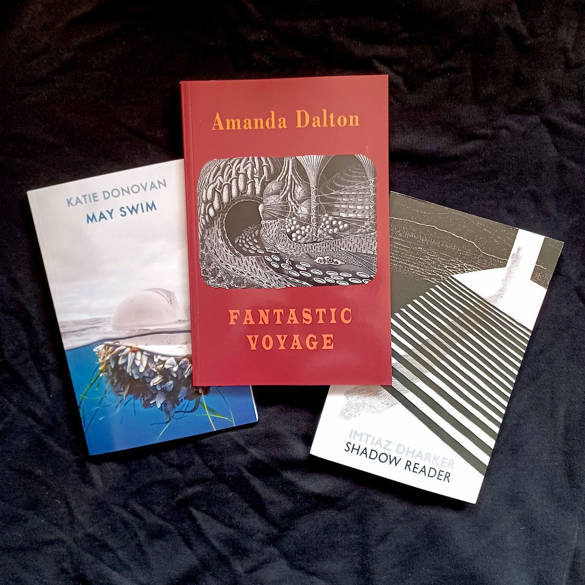 It's publication day for our three May titles: #ShadowReader by @Idharker, #MaySwim by @katiedon5 & #FantasticVoyage by @uncletilly

Find out more about these excellent new collections on our website here:
bloodaxebooks.com/ecs/new_titles…