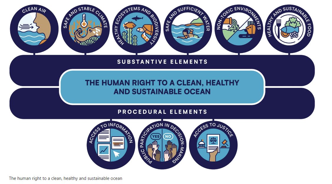 The degradation of our ocean continues at an accelerated rate.

Moving from recognition to implementation of human rights to a clean, healthy, and sustainable ocean is pivotal to actionable #OceanConservation and the transformation of #OceanGovernance. nature.com/articles/s4418…