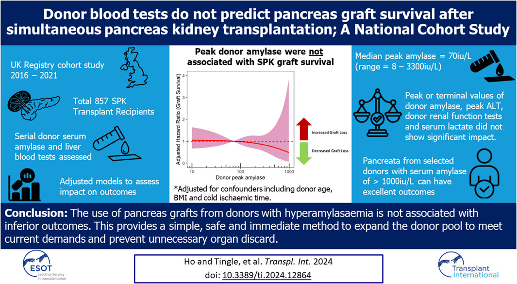 🛑Raised donor amylase has been seen by many as a barier to pancreas #transplant 🛑Previous panc tx scoring systems include small donor amylase increase as a 'risk factor' ⁉️ New research in @Transpl_Int brings this into question ➡️ important implications for utilisation 📜⬇️