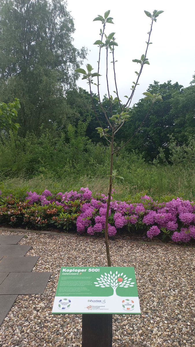 Tijdens het event op 21 november in De Lawei in Drachten, werd Wouter Stadhouders van <a href="/StadLandWater/">StadLandWater</a> de 500e Koploper. Het boompje is nu geplant!