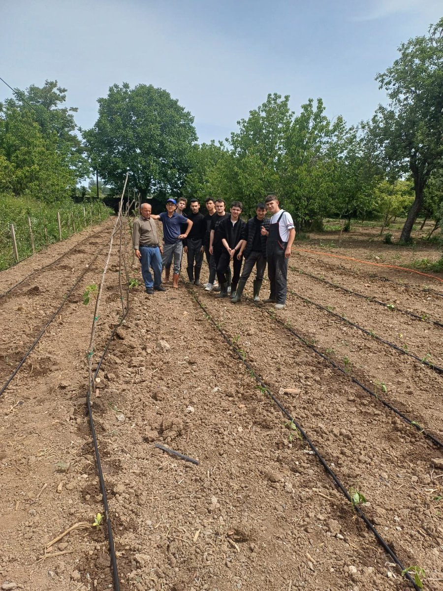 Dedeli_METAL's tweet photo. Uygulama alanımıza biber dikimi yapıldı https://t.co/RHRCu77JON