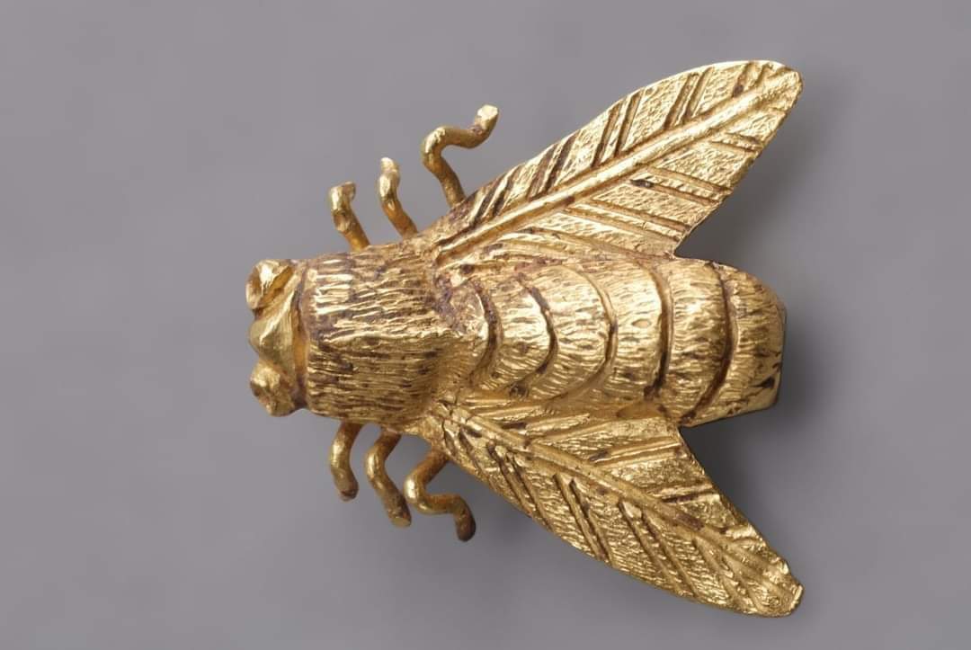 A 3rd Century AD, Roman Gold Fibula (brooch), stunningly detailed, in the shape of a bee. At Museo de Cádiz in Spain #archaeohistories