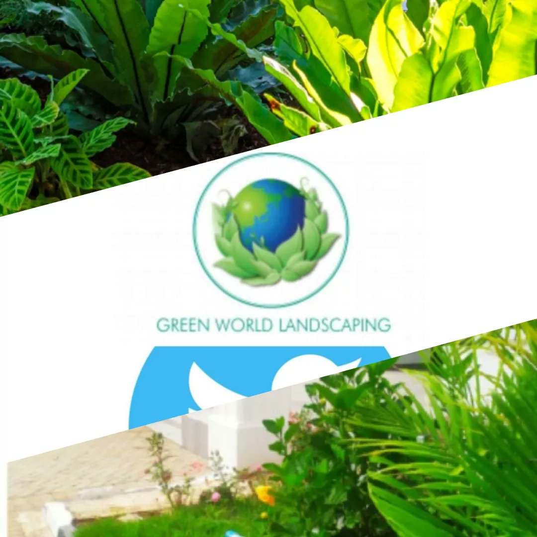 Green World Landscapers at your service 👍