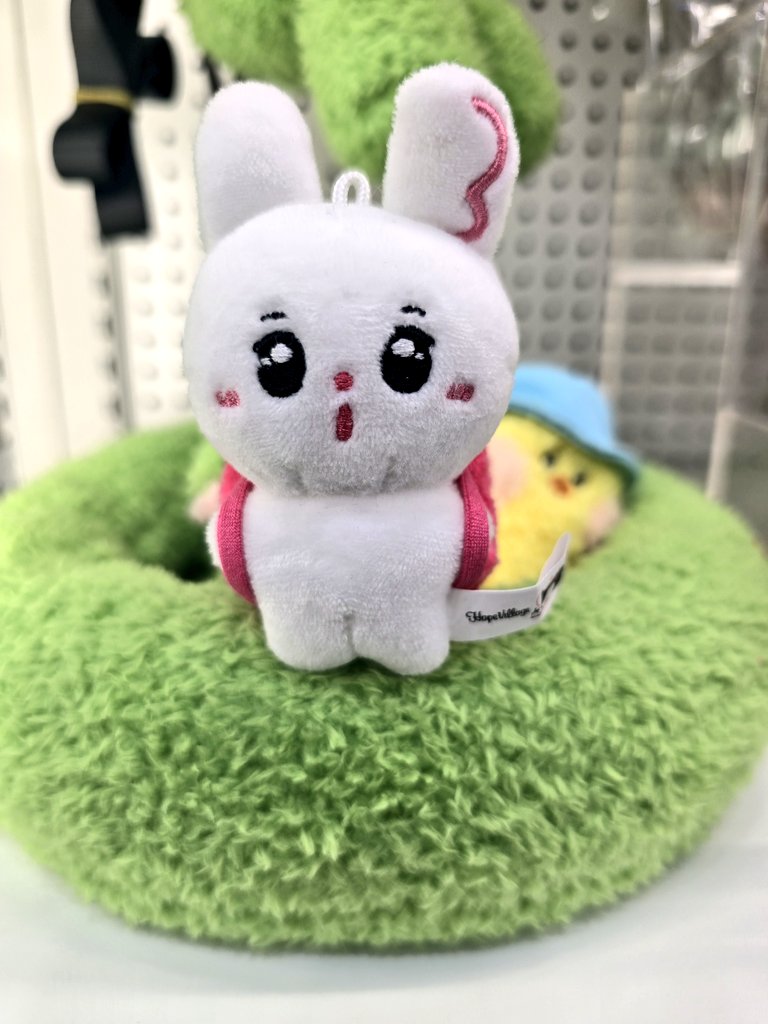 indwell_3's tweet photo. 🐰 솸콩이+굿즈 배송 안내 ☘️

솸콩이와 굿즈는 내일 발송 됩니다!
조심히 잘 도착할께용!😉 https://t.co/GSJqMdrwMt