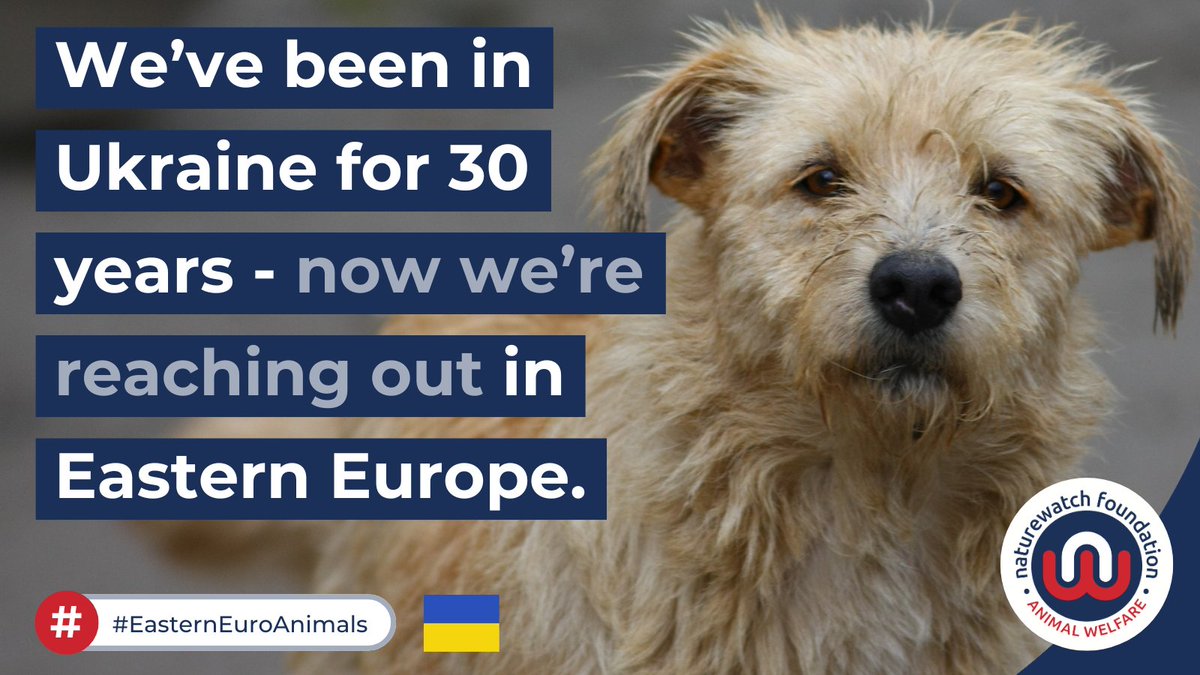 1/4 We’ve worked on animal welfare in Ukraine since 1994 - from training the police on how to investigate animal abuse, to humane education for children, to controlling stray animal numbers. 🐶🐱 Now we're taking our work to other areas in Eastern Europe... #EasternEuroAnimals
