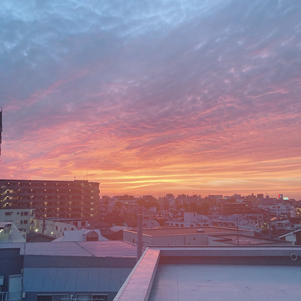 ocscy's tweet photo. #真っ赤な空を見ただろうか
#スカロケ https://t.co/s0sW3druhK