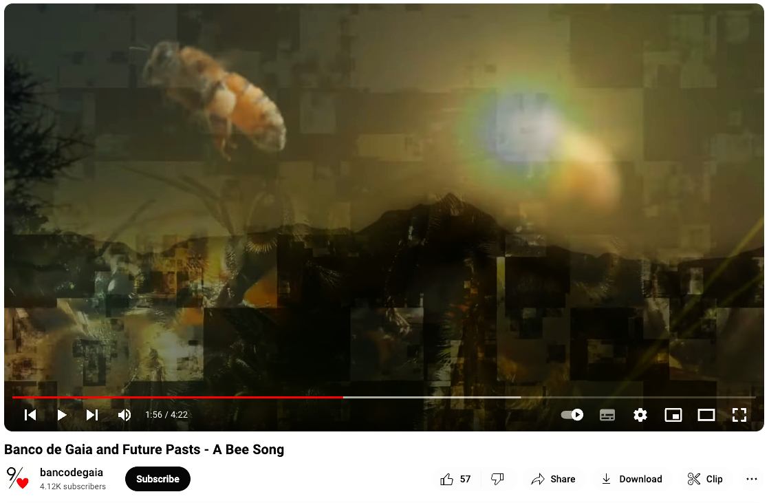 Prof. Sian Sullivan ☮️ 🕊️ 🌱 (@siansullivanuk) on Twitter photo 🎶 🐝 A Bee Song by <a href="/bancodegaia/">Banco de Gaia</a> and <a href="/Future_Pasts/">Future Pasts</a> now has a video!
<a href="/ahrcpress/">Arts and Humanities Research Council</a> <a href="/BathSpaUni/">Bath Spa University</a> <a href="/PolEcoNet/">POLLEN</a> <a href="/ConservationNa1/">Conservation Namibia 🇳🇦</a> <a href="/BSUEnvHums/">Research in EnvHums at Bath Spa</a> <a href="/BSUHeritage/">Heritage at Bath Spa University</a> <a href="/cep_of/">CEP (Consortium of Environmental Philosophers)</a> >
➡️ youtu.be/I-HQAOANL20 🎶 🐝 A Bee Song by <a href="/bancodegaia/">Banco de Gaia</a> and <a href="/Future_Pasts/">Future Pasts</a> now has a video!
<a href="/ahrcpress/">Arts and Humanities Research Council</a> <a href="/BathSpaUni/">Bath Spa University</a> <a href="/PolEcoNet/">POLLEN</a> <a href="/ConservationNa1/">Conservation Namibia 🇳🇦</a> <a href="/BSUEnvHums/">Research in EnvHums at Bath Spa</a> <a href="/BSUHeritage/">Heritage at Bath Spa University</a> <a href="/cep_of/">CEP (Consortium of Environmental Philosophers)</a> >
➡️ youtu.be/I-HQAOANL20