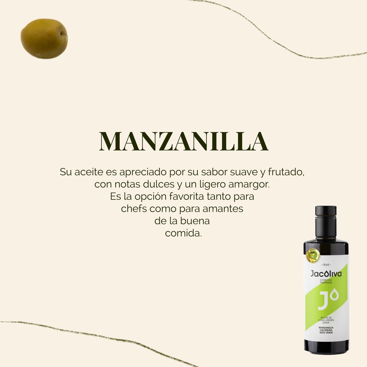 En QvExtra! tenemos una gran diversidad de AOVEs con sello SIQEV y valoramos la riqueza y la variedad de los aceites de oliva virgen extra✨ Estos son algunos de los muchos tipos de AOVE que producen nuestros asociados: 1️⃣ Arbequina 2️⃣ Picual 3️⃣ Manzanilla #QvExtra #SelloSIQEV