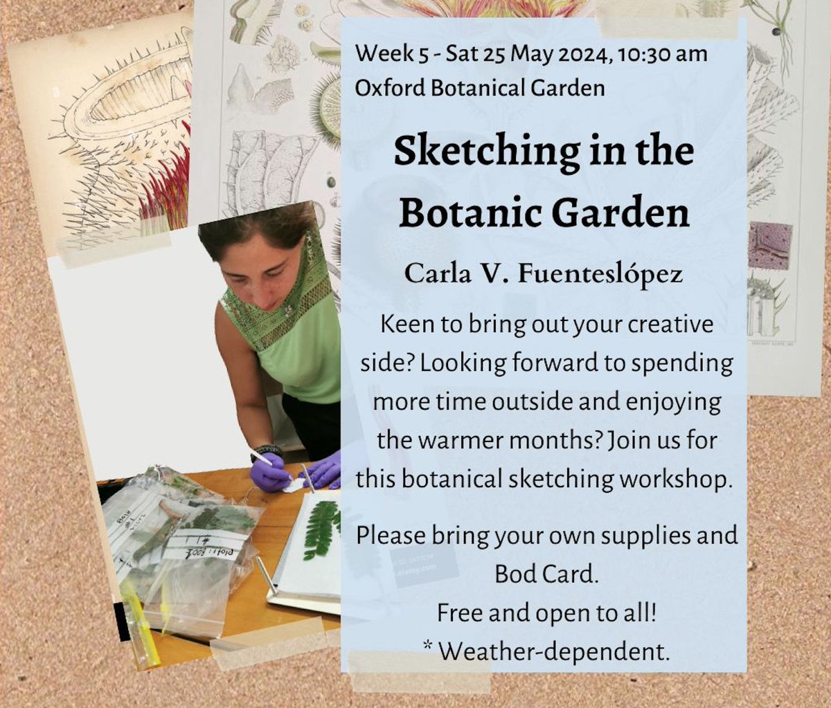 Oxford University Exploration Club tweet media