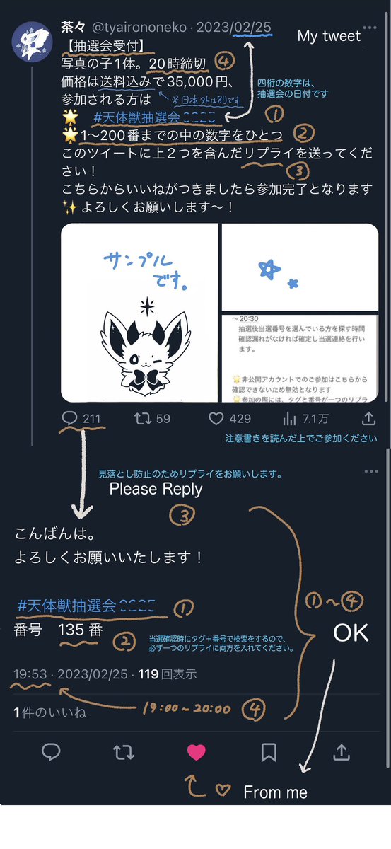 tyairononeko's tweet photo. 【抽選会受付】
写真の子1体。明日24日の20時締切
価格は送料込みで40,000円、
参加される方は
🌟　#天体獣抽選会0523
🌟1～300番までの中の数字をひとつ（番までお願いします）
このツイートに上２つを含んだ【リプライ】を送ってください！

⚠️ここ以外へのリプライ、宛先なしは無効です！
⚠️非公開アカウントからのリプライはこちらから見えないので無効となります！
⚠️リプライに不備があった場合は一旦削除してから再度ご参加ください（当選者の検索をする際ツイートが別れていると見つけられなくなるため）
⚠️複数のアカウントを使用してのご参加は無効となります
⚠️システムトラブルやAPI制限等により時間は延長する場合がありますが、時間内のリプライは全て確認した後に抽選となります。
⚠️転売目的は❌

こちらからいいねがつきましたら参加完了と��ります✨よろしくお願いします～！