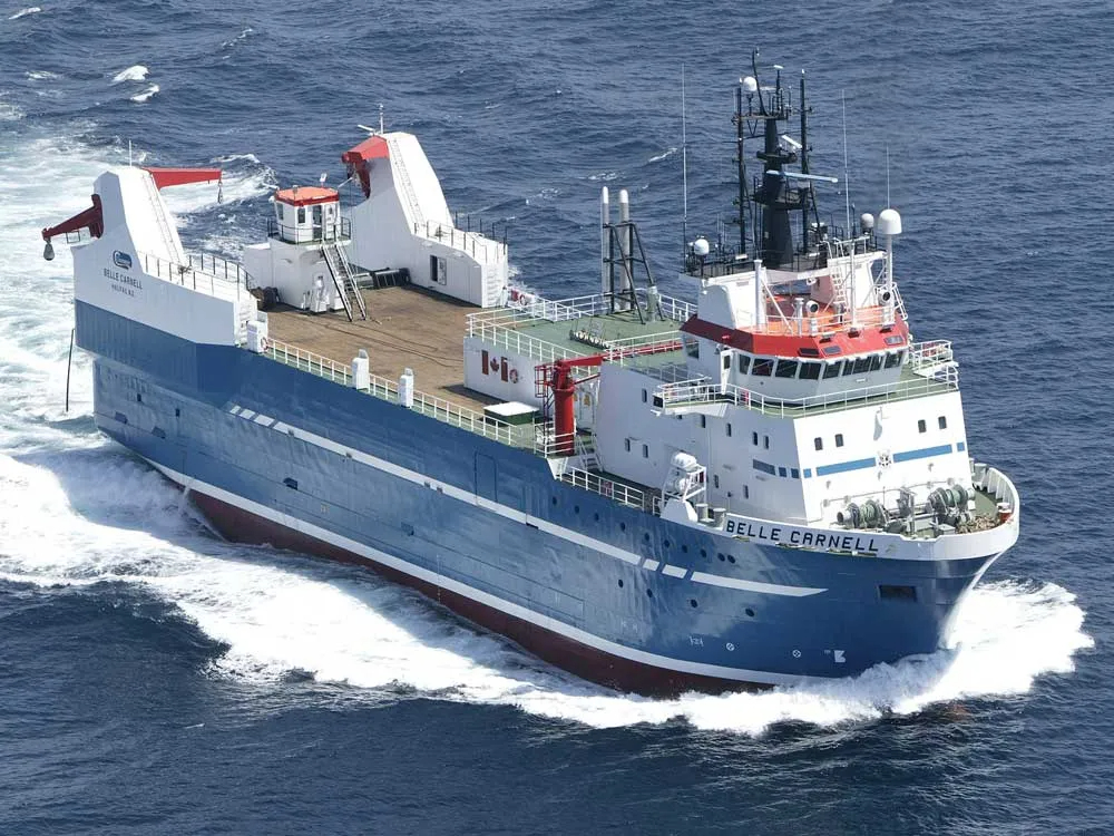 Tim Coldwell tweet media