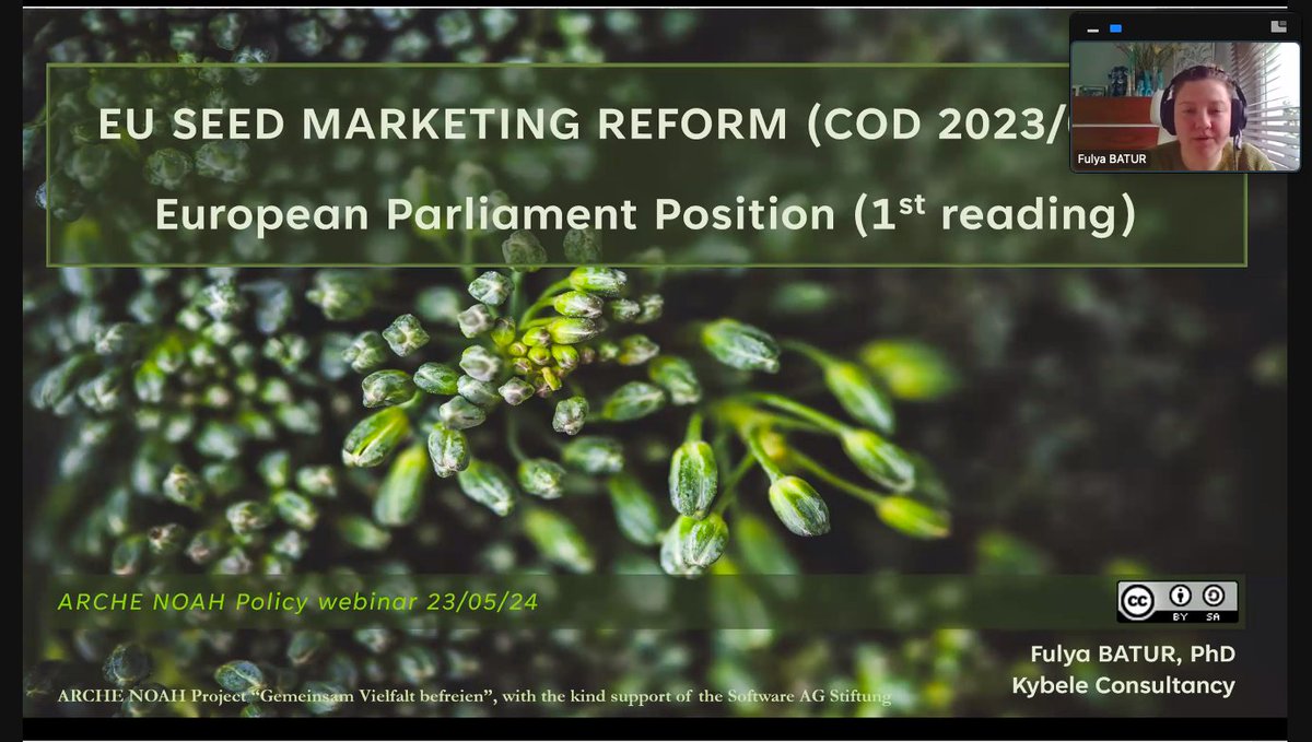 🫒 STARTING NOW ☄️ What are the main #changes proposed to the @EU_Commission proposal on #seedmarketing by the @Europarl_EN ’s ? @arche__noah invites you to join a lunchtime webinar, @fufubabat will present the results of the EP vote! Join us! 👄🗣️urly.it/3a30m