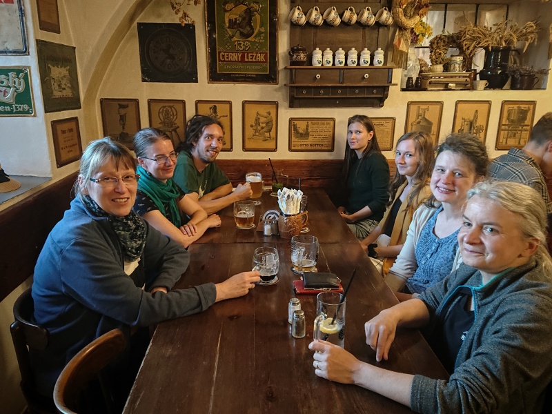 FischerLab210's tweet image. This week, we had a departmental retreat where we shared the latest scientific findings and addressed the future department&apos;s directions. Thanks to everyone for participating! @pragueplantcyto @PetrasekLab @plantmembranes @cell_biologyCZ @RomanPleskot  @UEBavcr