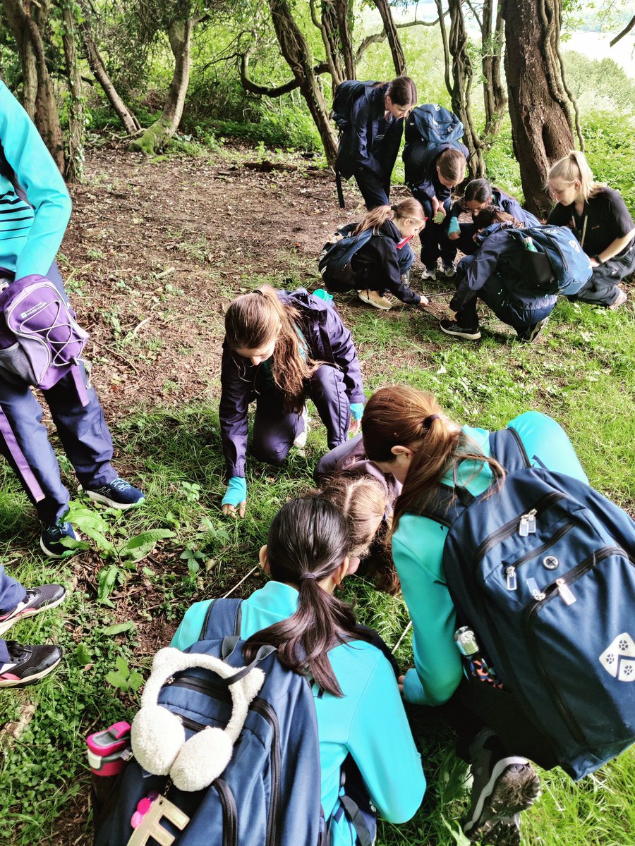 Year 7 exploring microclimates.